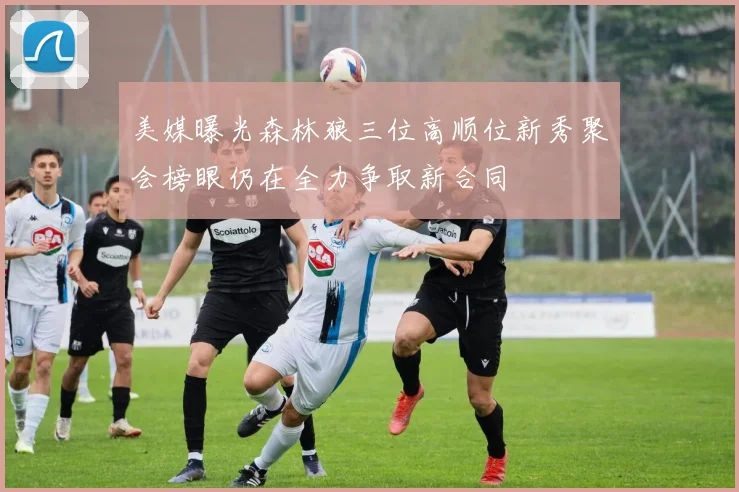 美媒曝光森林狼三位高顺位新秀聚会榜眼仍在全力争取新合同