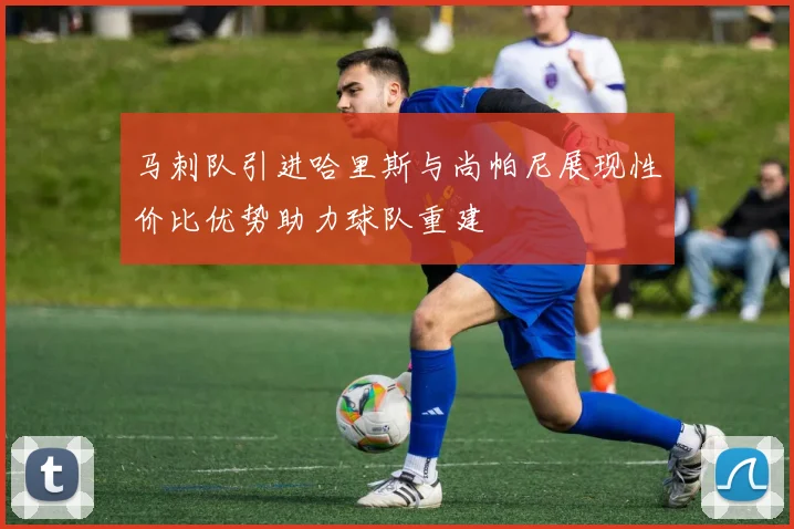 马刺队引进哈里斯与尚帕尼展现性价比优势助力球队重建